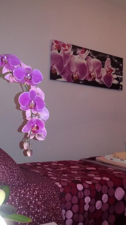 B&B Interno 8 Rom Zimmer foto